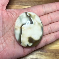 Orca Agate